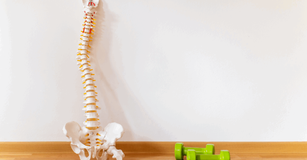 O que é escoliose precoce e como identificar os sinais em crianças? 1 O que e escoliose precoce e como identificar os sinais em criancas